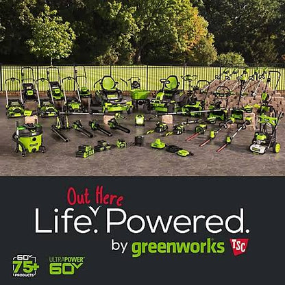 Greenworks Pro 60V 42